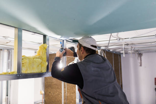 Best Insulation Installation Services in Yuba City, CA